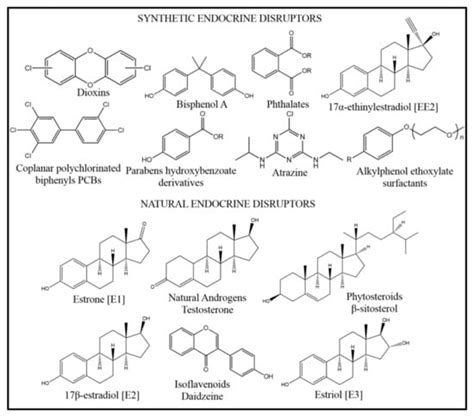 Endocrine-Disrupting Compounds: An Overview on Their Occurrence in the ...