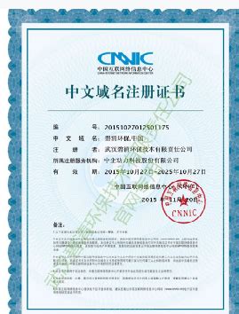 中文域名注册证书-武汉碧清环保技术有限责任公司-官网
