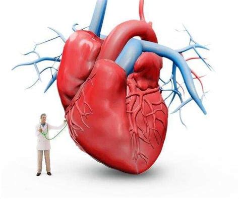 心血管医生告诉您: 心脏病发作会有哪些求救“信号” - 知乎