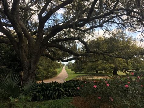 Rip Van Winkle Gardens (New Iberia) - 2021 What to Know Before You Go ...
