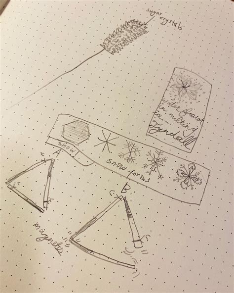 Science Notebook Example 的图像结果