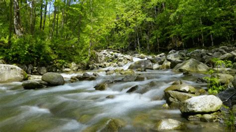 慢门拍摄户外大山里流动的清澈小溪照片摄影图片_ID:434329247-Veer图库