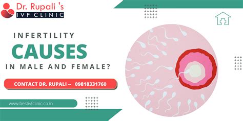 Infertility Causes in Male and Female - Best IVF clinic