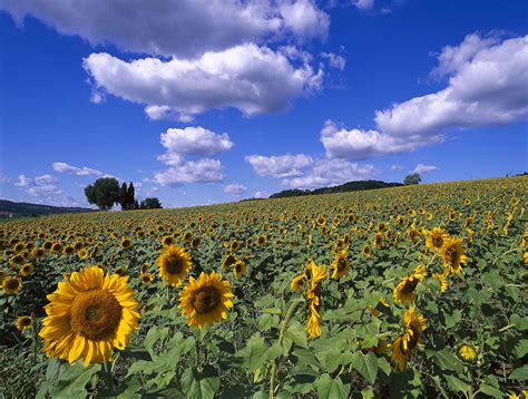 The Weather and Climate in Italy