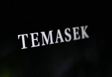 Singapore's Temasek-backed entity to acquire 16% stake in Ayala's ...
