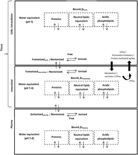 Tissue Distribution 的图像结果