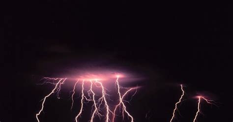 Experts blame climate change for lightning-strike fatalities in ...