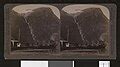 Image result for Alien Colusium