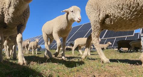 New research: cyclones more costly for QLD and NSW