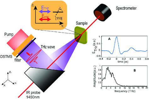 Image result for Example of Experiment