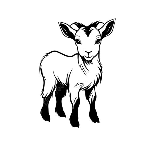 Pygmy Goat Drawing at Matilda Corones blog