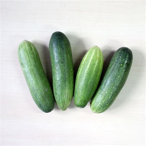 Organic Cucumber Green – Freshindiaorganics