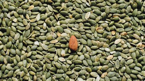 Manganese vs. Magnesium: Key Differences (and Why They Matter ...