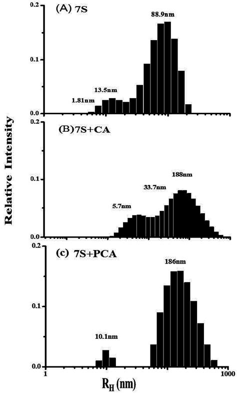 Interactions of β-Conglycinin (7S) with Different Phenolic Acids—Impact ...