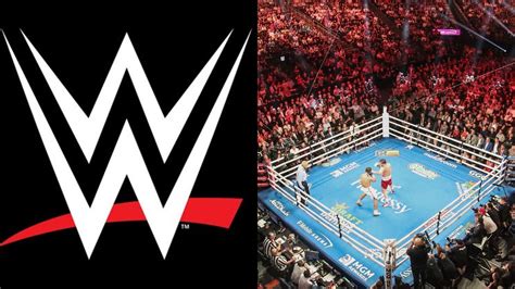 WWE Boxing 的图像结果