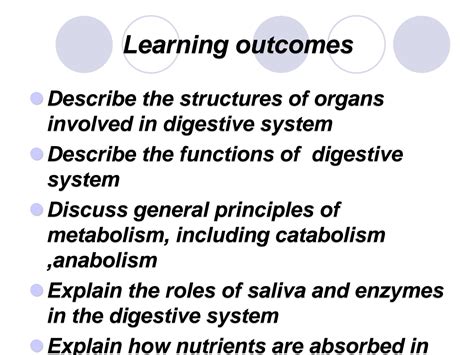 Image result for Digestive System Lecture