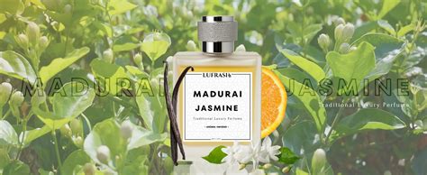 Buy LUFRASI Madurai Jasmine Eau de Parfum 50ml – Long Lasting Perfume ...