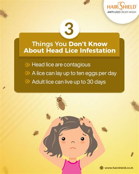 Does Washing Get Rid Of Lice Or Just Make Them Harsh