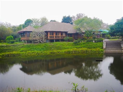 Kazi & Kazi Tea Estate 2
