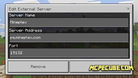 Mineplex Server IP Java 的图像结果