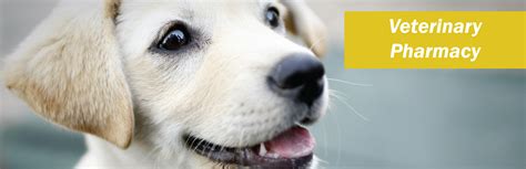 Veterinary Compounding Pharmacy in Los Angeles