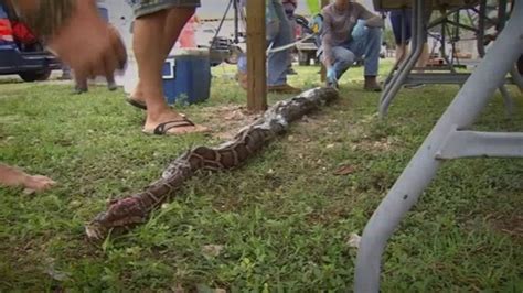 Image result for Python Hunters Cast