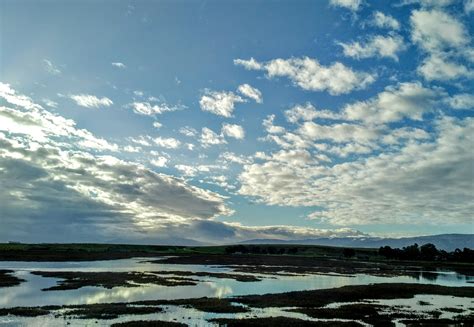 Baylands Nature Preserve