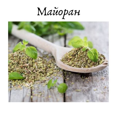 Майоран улучшает вкус соленых и маринованных огурцов, томатов ...