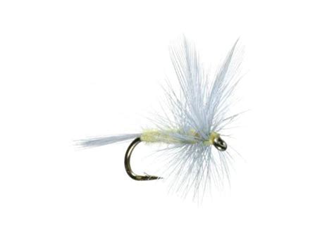 Image result for PMD Fly Pattern