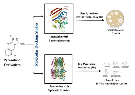 Design, Docking, Synthesis, and Biological Evaluation of Pyrazolone ...