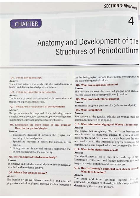 anatomy and development of the structures of periodontium - BDS - Studocu