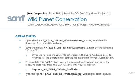 Image result for Excel Modules 5 8 Sam Capstone Project