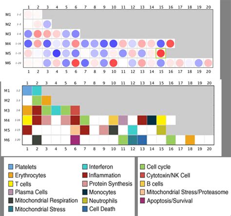 Image result for Gene Expression Map