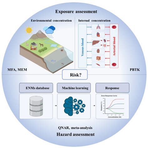 Nanomaterials | Special Issue : Environmental Analysis and ...