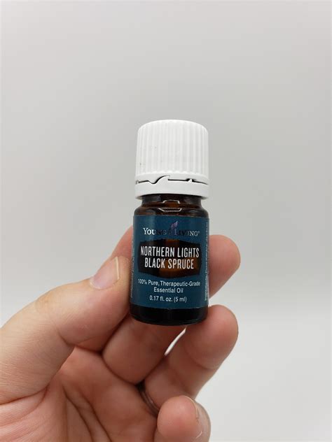 Northern Lights Black Spruce Essential Oil 5ml Young Living | eBay