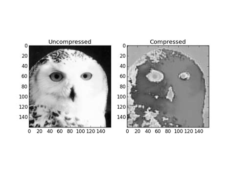JPEG Compression Code Python 的图像结果