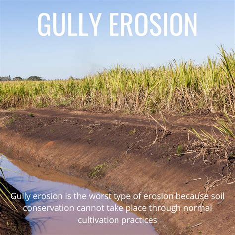 Distinguish Between Sheet Erosion And Gully Erosion at Mark Strasser blog