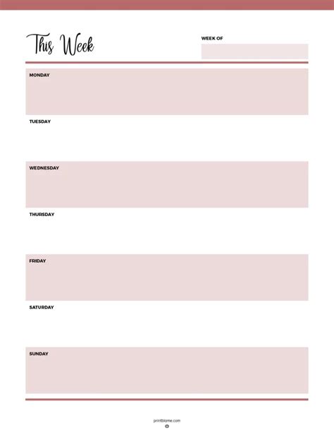 Planning 的图像结果