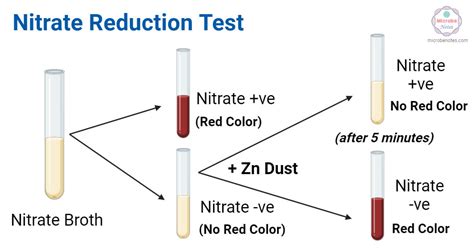 Image result for Nitrate Acid Test