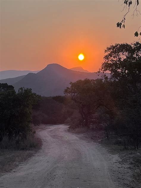 THE BAOBAB BUSH LODGE (Hoedspruit) - Inn Reviews, Photos, Rate ...