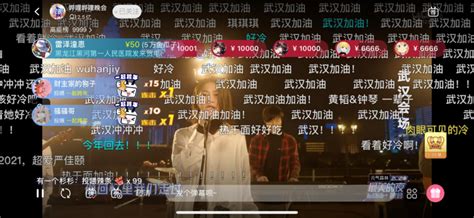 “2020最美的夜”bilibili晚会播出，用音乐告别特殊的一年—会员服务 中国电子商会
