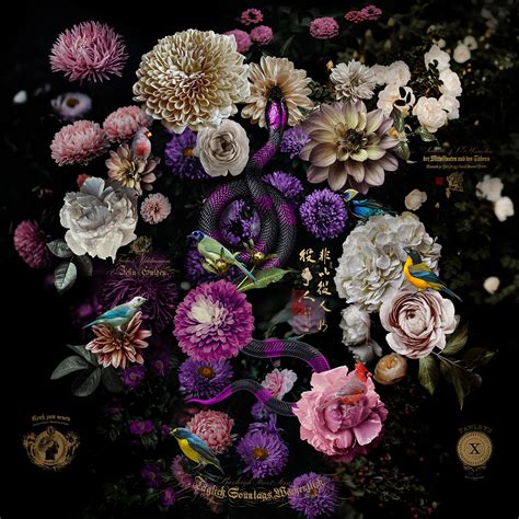 Image result for Allegory Visualization Software