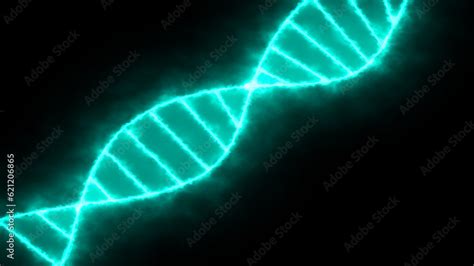 Image result for Human DNA Strand