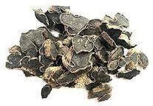 Kapebonavista Very Rare Deep Black Kali Haldi 7 Pieces Seed Price in ...