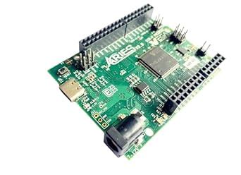 ARIES v3.0 Development Board : Amazon.in: Computers & Accessories