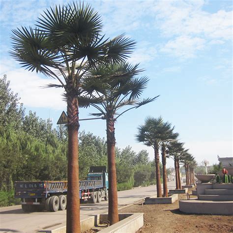 Buy Artificial Trees & Plants From No1. Manufacturer & Supplier in ...