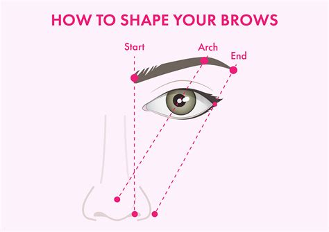 Image result for How Do You Draw Eyebrows