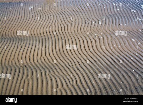 Sand Pattern 的图像结果