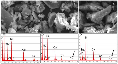 Materials | Special Issue : Bioactive Glasses