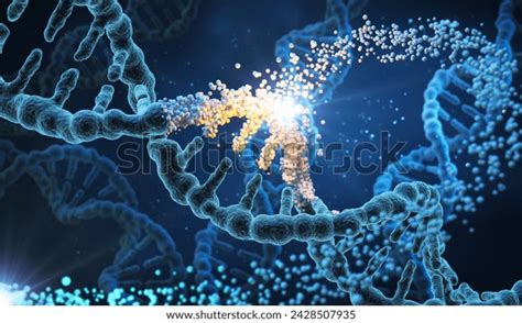 Image result for Human DNA Strand